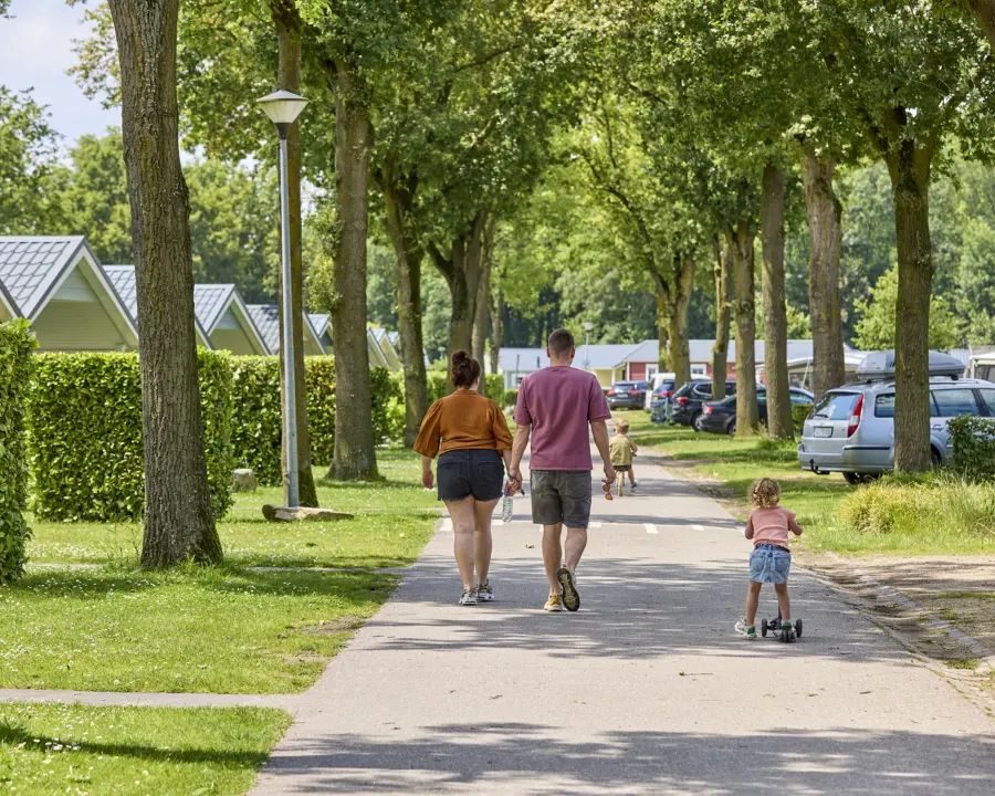 Camping de Leistert Zomer 16