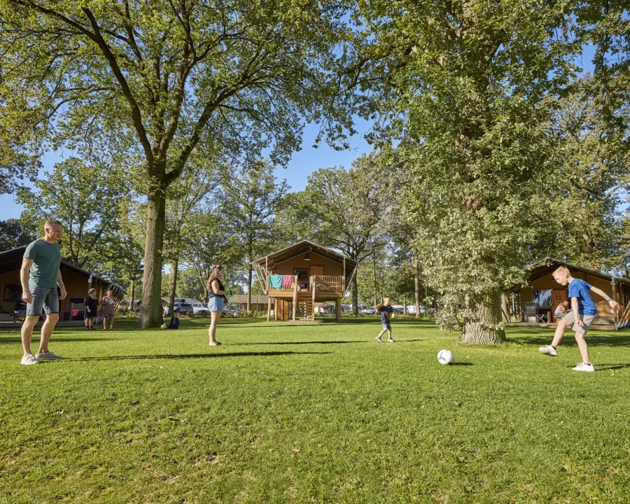 Glamping Tent Luxe 2